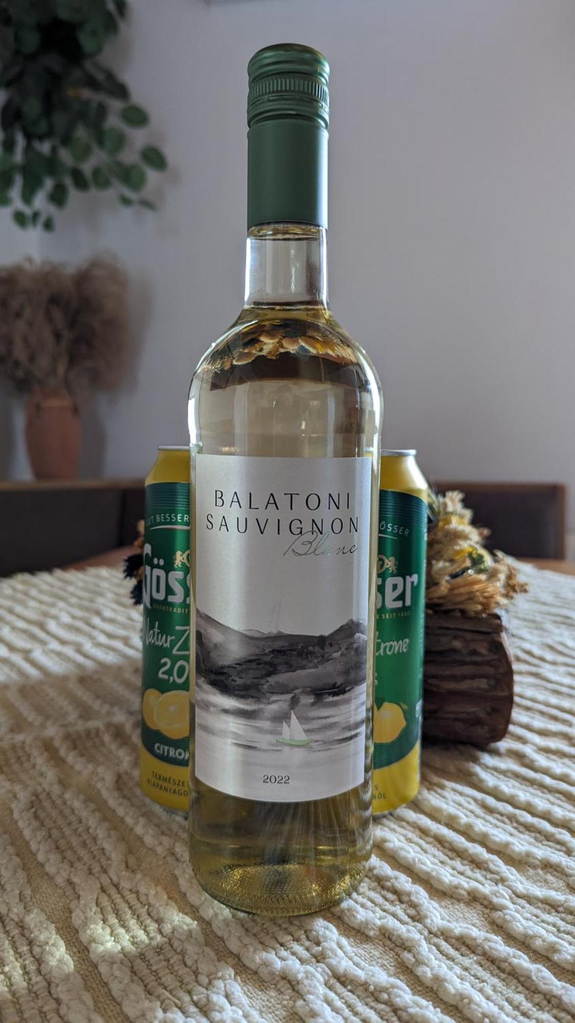 Viragos Apartman Balatonszárszó 외부 사진
