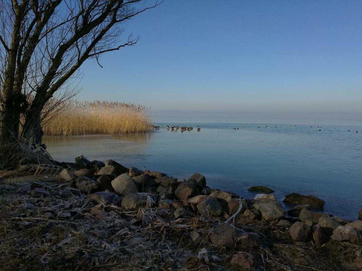 Viragos Apartman Balatonszárszó 외부 사진